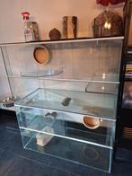 Prachtig Groot knaagdier verblijf terrarium gerbilarium, Dieren en Toebehoren, Knaagdieren en Konijnen | Hokken en Kooien, Ophalen