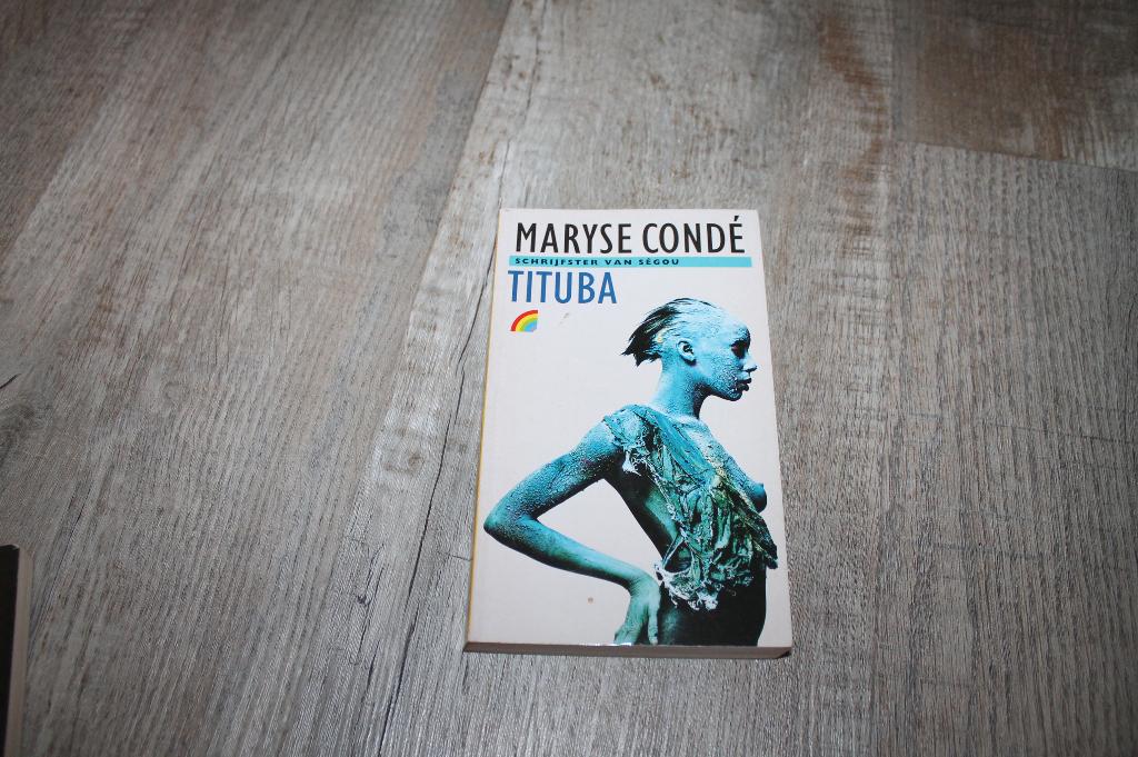 Tituba, de zwarte heks van Salem - Maryse Condé, Boeken, Wereld overig, Ophalen of Verzenden, Zo goed als nieuw, Maryse Condé