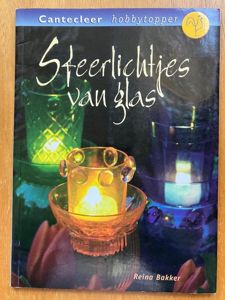 Sfeerlichtjes van glas - Reina Bakker, Boeken, Hobby en Vrije tijd, Gelezen, Verzenden