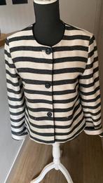 Nieuwe blazer van Expresso maat S, Kleding | Dames, Overige kleuren, Expresso, Nieuw, Ophalen of Verzenden