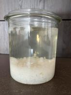 Waterkefir 50 gram, Diversen, Levensmiddelen, Ophalen