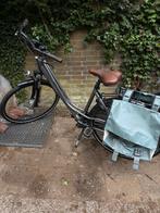 Pegasus Salerno damesfiets zgan, Overige merken, 47 tot 50 cm, Versnellingen, Ophalen of Verzenden