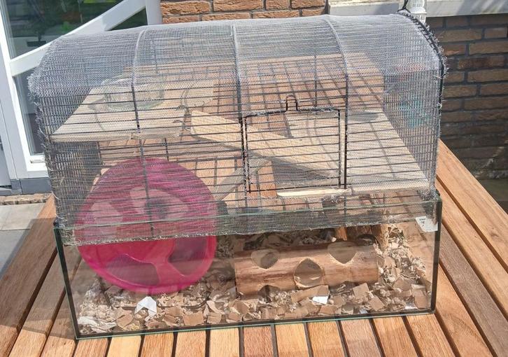 Muizenhok Ferplast Gabry 50, Dieren en Toebehoren, Knaagdieren en Konijnen | Hokken en Kooien, Gebruikt, Kooi, Minder dan 60 cm