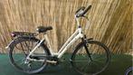 2320 Gazelle Fuente Pure