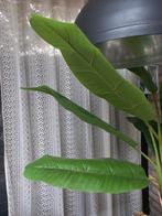 vitrage roomkleur 140x240, Ophalen of Verzenden, Zo goed als nieuw, 200 cm of meer, 200 cm of meer