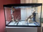 Superfish aquaruim ( 100 liter), Dieren en Toebehoren, Vissen | Aquaria en Toebehoren, Ophalen, Leeg aquarium