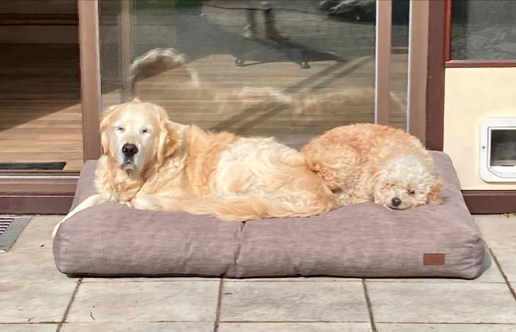 Honden kussen 120x80 cm, Dieren en Toebehoren, Hondenmanden, Gebruikt, Ophalen