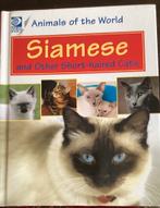 Siamese katten., Ophalen of Verzenden, Zo goed als nieuw, Katten