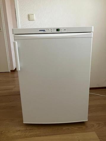 Diepvries kast beschikbaar voor biedingen