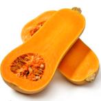 Fles pompoen zaden, Tuin en Terras, Ophalen of Verzenden, Volle zon