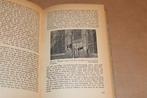 Wat Gaat er om in Uw Hond? [ca. 1961] — Kynologisch Handboek, Boeken, Dieren en Huisdieren, Ophalen of Verzenden, Gelezen, Honden