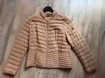 Dames jas Nieuw!! Maat 40, Kleding | Dames, Jassen | Winter, Ophalen of Verzenden, Nieuw, Maat 38/40 (M)