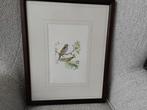 Aquarel A.M.Lariby 2 vogels op tak., Ophalen of Verzenden
