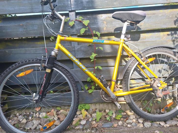 2 Giant Mountainbikes - retro model, Fietsen en Brommers, Fietsen | Mountainbikes en ATB, Gebruikt, Giant, 49 tot 53 cm, Ophalen
