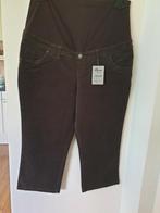 Positie broek Nieuw met kaartje Miss Etam Maat 42, Bruin, Maat 42/44 (L), Ophalen of Verzenden, Zo goed als nieuw