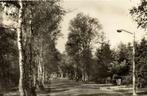 Aalst Willibrorduslaan - auto - gelopen, Verzamelen, Ansichtkaarten | Nederland, Ophalen of Verzenden, 1920 tot 1940, Gelopen