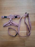 Y-tuig, halsband en lijn oud roze maat M, Ophalen of Verzenden, Nieuw, Hondenriem