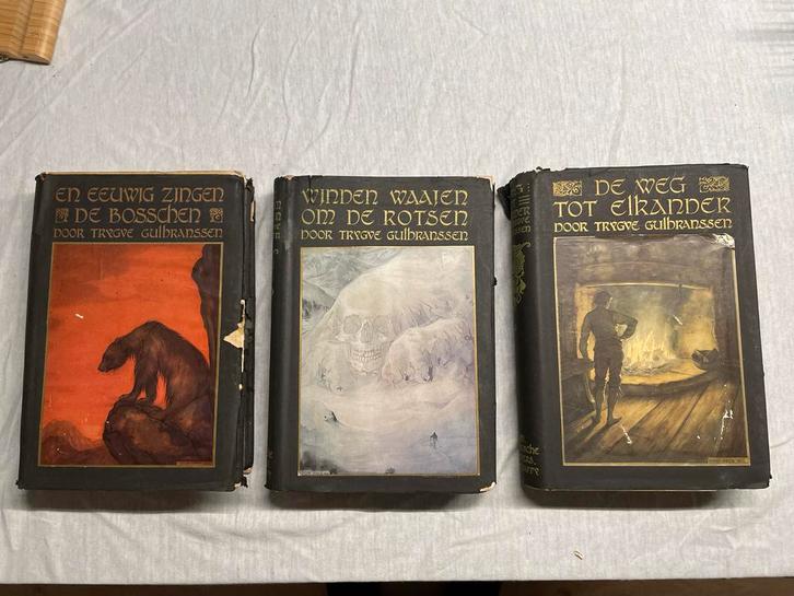 Trilogie Bjørndal - Trygve Gulbranssen, Boeken, Literatuur, Gelezen, Europa overig, Ophalen of Verzenden