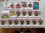497 getekende spelerskaarten van de Bundesliga, Ophalen of Verzenden, Zo goed als nieuw, Buitenlandse clubs, Spelerskaart