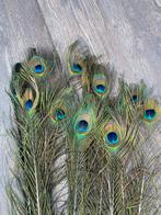 Pauwveren, Huis en Inrichting, Woonaccessoires | Droogbloemen, Ophalen of Verzenden, Zo goed als nieuw