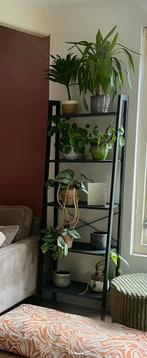 Industriële boekenkast/plantenkast, Huis en Inrichting, Kasten | Stellingkasten, Ophalen, Zo goed als nieuw