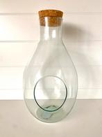 Glazen Terrarium met Kurk, Overige kleuren, 50 tot 75 cm, Ophalen of Verzenden, Glas