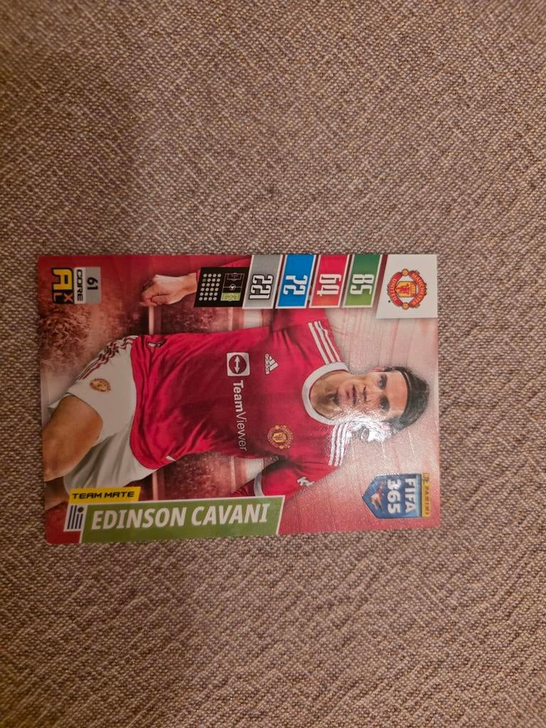 Voetbal kaarten, Ophalen of Verzenden, Meerdere plaatjes