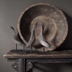Hoorns op standaard gewei koe ram zebu watusi taxidermie, Ophalen of Verzenden, Nieuw