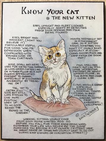 Know your cat - The new kitten - Dick Twinney - ZGAN beschikbaar voor biedingen