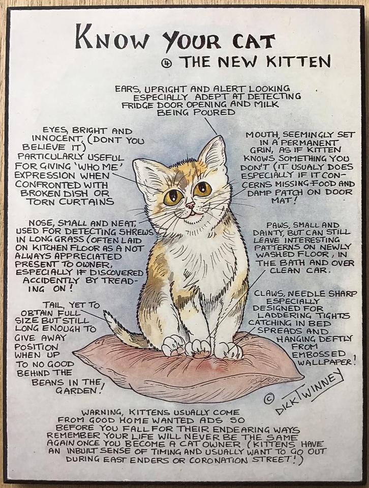 Know your cat - The new kitten - Dick Twinney - ZGAN, Huis en Inrichting, Woonaccessoires | Overige, Zo goed als nieuw, Ophalen of Verzenden