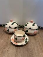 Villeroy & Boch soepterrines + soepkom bloemendecor, Gebruikt, Ophalen of Verzenden, Kom(men), Overige stijlen