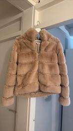 Dames jas maat s, Kleding | Dames, Ophalen of Verzenden, Zo goed als nieuw