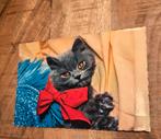 Poes met rode strik, Verzenden, Ongelopen, Hond of Kat