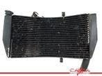 RADIATEUR CBR 954 RR Fireblade 2002-2003 (CBR900RR SC50), Gebruikt