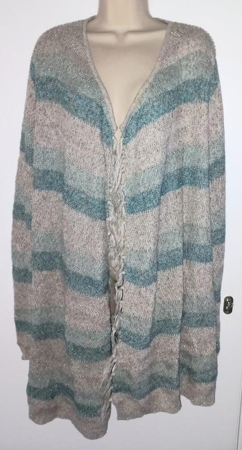 MS Mode vest maat XL (46/48), Kleding | Dames, Grote Maten, Zo goed als nieuw, Trui of Vest, Ophalen of Verzenden