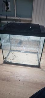 20 liter aquarium, Ophalen