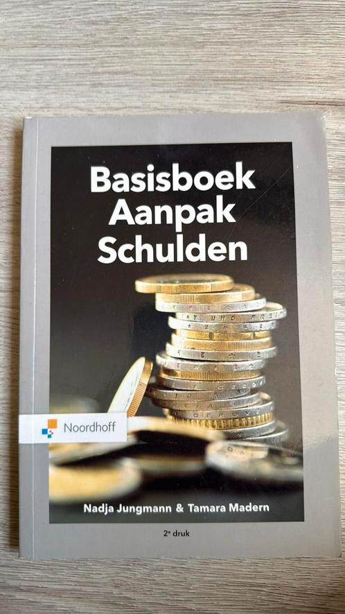 Nadja Jungmann - Basisboek aanpak schulden, Boeken, Wetenschap, Zo goed als nieuw, Sociale wetenschap, Ophalen of Verzenden