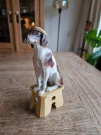 Antiek Porseleinen Hondje met Pet, style Heubach., Ophalen of Verzenden