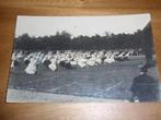 Fotokaart Animo Wageningsche Berg Wageningen ? Veluwe, Verzamelen, Verzenden, Ongelopen, Gelderland