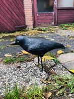 Afschrikwekkende kraai van beton  voor tuin of vijver, Ophalen, Gebruikt, Beton, Dierenbeeld