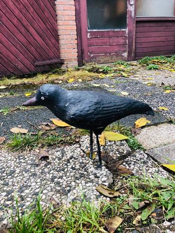Afschrikwekkende kraai van beton  voor tuin of vijver beschikbaar voor biedingen