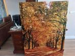 Schilderij, Huis en Inrichting, Woonaccessoires | Schilderijen, Tekeningen en Foto's, Ophalen, 125 cm of meer, Zo goed als nieuw