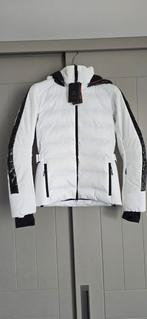 NIEUW skijas Borger Fire & Ice Cadja 36 S Wit, Ophalen of Verzenden, Nieuw, Maat 36 (S), Jack