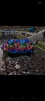 Paarden Regendeken  pony/veulen 0 grams maat 135, Ophalen of Verzenden, Deken, Zo goed als nieuw