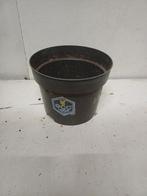 Kweekpotten 2 liter, Kunststof, Gebruikt, Info@krimpen.nl, Molenstraat 42
4758 AB Standdaarbuiten
Nederland