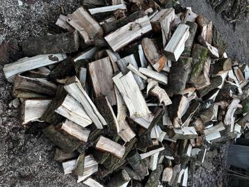 Openhaard hout eik, kastanje, esdoorn en berk vers.