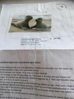 Patroon zeehond met Jong, Hobby en Vrije tijd, Vilt, Ophalen of Verzenden, Zo goed als nieuw, Boek of Patroon