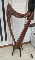 Salvi harp inclusief versterking en extra snaren, Muziek en Instrumenten, Snaarinstrumenten | Harpen, Gebruikt, Ophalen of Verzenden