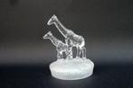 Cristal d'Arques - Giraffenfamilie 2 (kristal), Ophalen of Verzenden