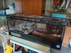 Terrarium 120x30x60., Dieren en Toebehoren, Ophalen, Gebruikt, Terrarium of Paludarium